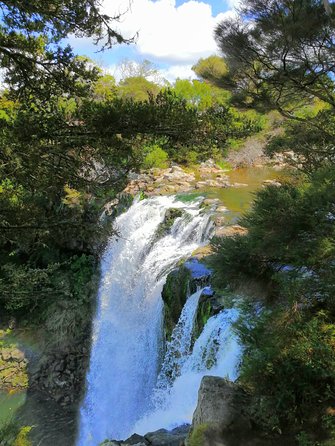 Private Shore Excursion: Bay of Islands Tour With Wine Tasting - Support and Assistance