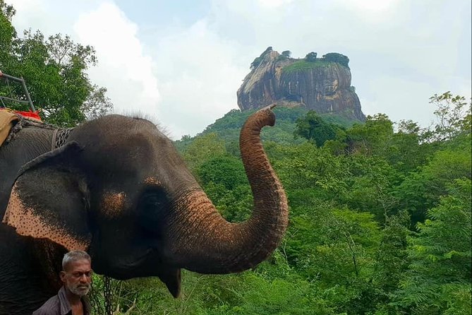 Private Sigiriya, Dambulla and Village Day Trip From Colombo - Cancellation Policy Details