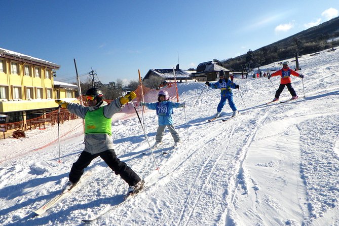 Private Ski Lesson for Family or Group(Transport Included ) - Additional Information