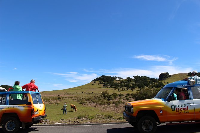 Private Small Group Full Day 4x4 Tour in Northwest Madeira - Customer Support