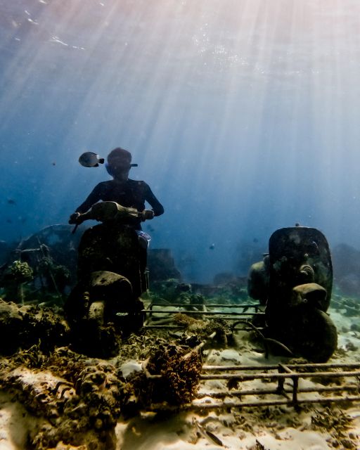 Private Snorkeling With Turtle and Romantice Statue - Last Words