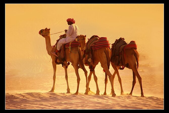 Private South Coast Tour With Camel Ride - Safety Guidelines