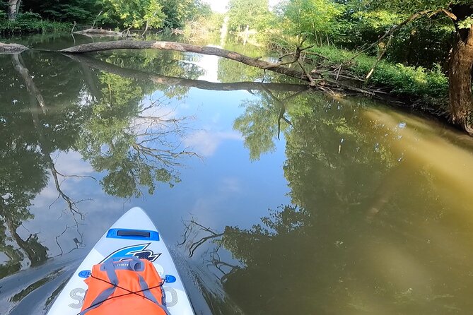 Private Stand Up Paddleboarding Trip on Dyje River - Common questions