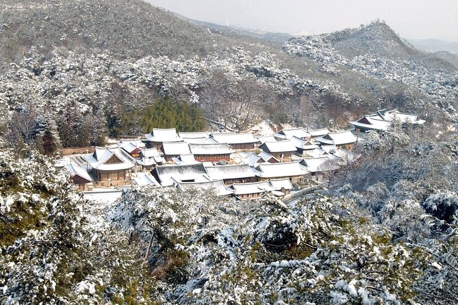 Private Tongdosa Temple Tour Including Gourmet Eonyang Style Bulgogi Lunch - Tongdosa Temple Visit