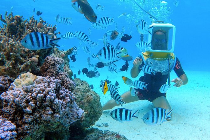 Private Tour: Aqua Safari Scuba Diving - Traveler Photos