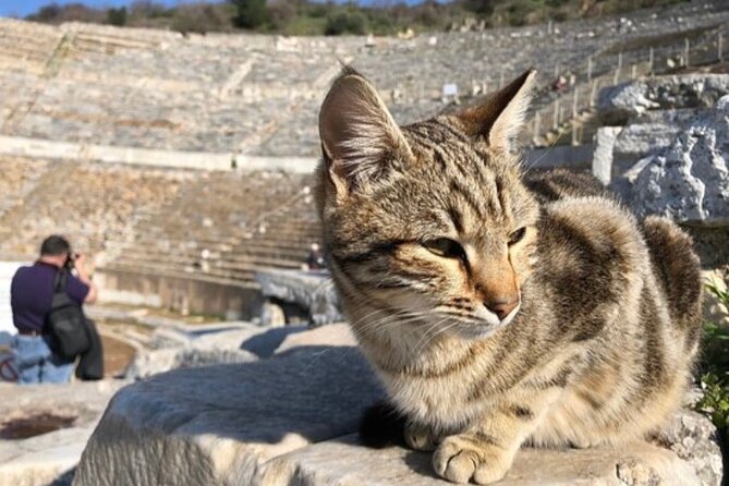 Private Tour : Biblical Ephesus Tour for Cruisers From Kusadasi ( Ephesus ) Port - Common questions