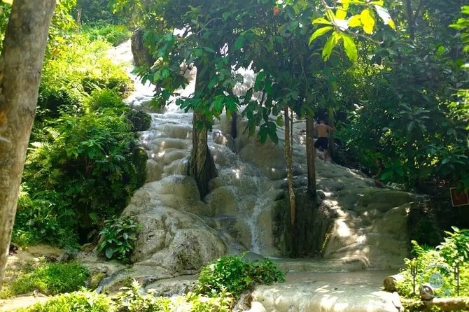 Private Tour: Bua Thong Sticky Waterfalls Tour - Contact & Support