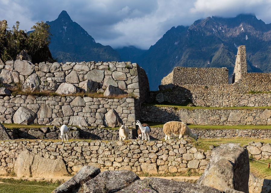 Private Tour Cusco - Sacred Valley and Machu Picchu 5D-4N - Tour Location and Activities