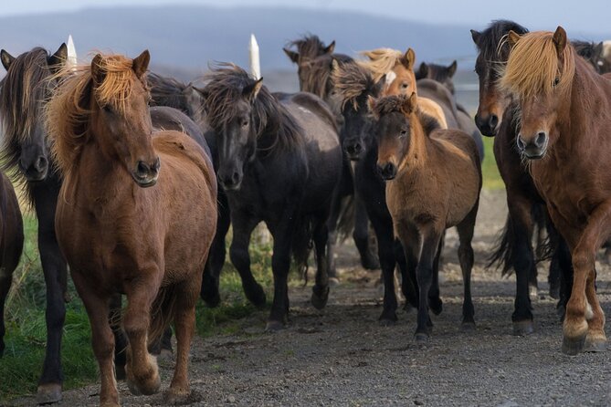 Private Tour: Golden Circle Tour by Luxury SUV From Reykjavik - Directions