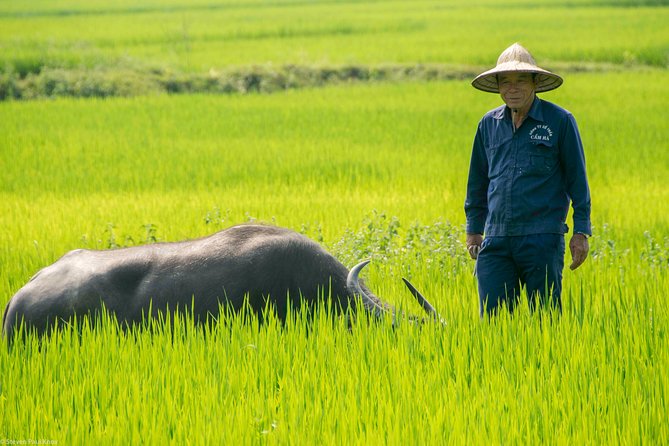 PRIVATE TOUR HOI AN Biking River Islands, Villages, Local Crafts - Cancellation Policy Overview