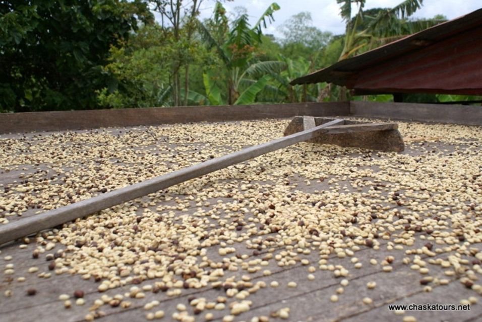 Private Tour in an Authentic, Ecological Local Coffee Finca - Finca La Cabaña Visit