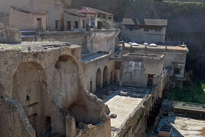Private Tour in Herculaneum With an Authorized Guide - Additional Information