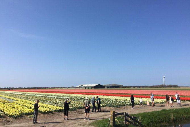 Private Tour Keukenhof Tulip Fields of Holland - Viator Help Center