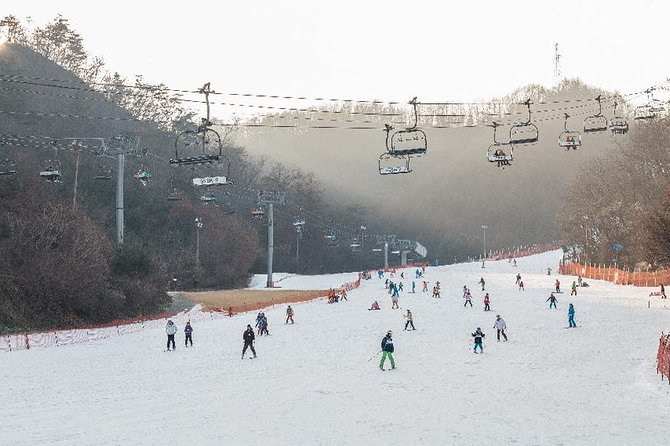 [Private Tour] Nami Island & Ski (Ski Lesson, Equip & Clothing Included) - Contact and Additional Details