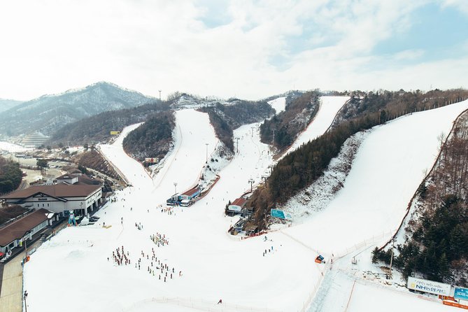 [Private Tour] Nami Island & Snow Viewing and Snow Sled (More Members Less Cost) - Customization Features
