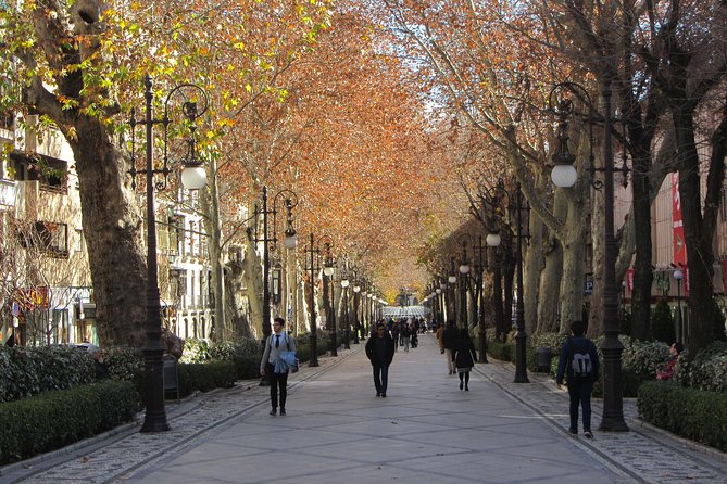 Private Tour of Central Granada. Total per Group Max 15 People - Safety Measures