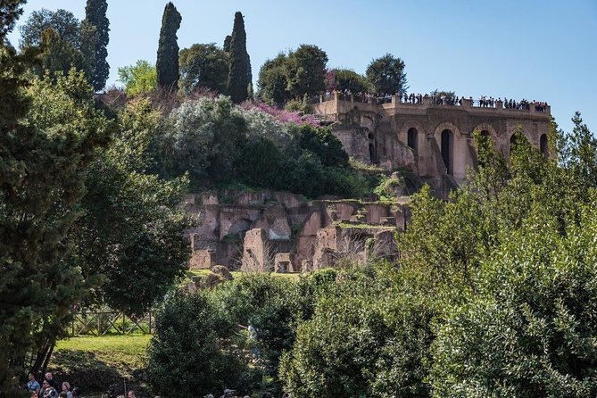 Private Tour of the Colosseum With Roman Forum & Palatine Hill - Assistance Available