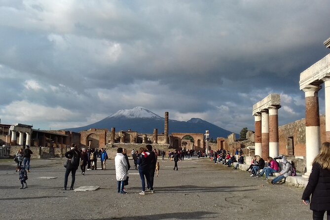 Private Tour of the Pompeii Excavations - Meeting Point and Cancellation Policy