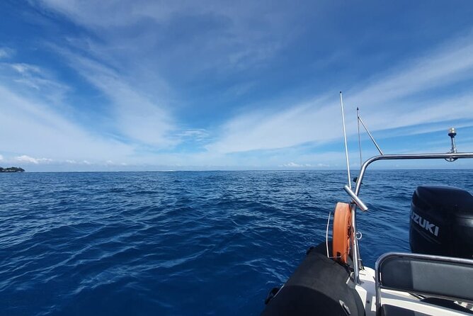 Private Tour of the Tahitis Lagoon by Boat Until 8 Pax - Weather Considerations