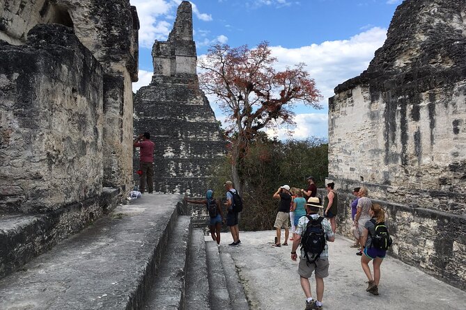 Private Tour of Tikal From Belize Western Border - Common questions