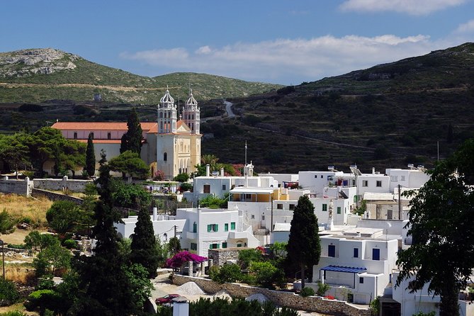 Private Tour: Paros Highlights 6 Hours - Pricing Details