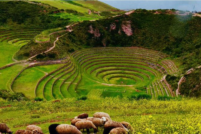 Private Tour Super Sacred Valley Chinchero Maras Moray Ollantaytambo - Booking and Customer Support