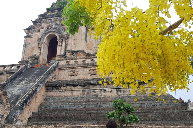 Private Tour: Thai Culture& Experience With Buddhism - Last Words