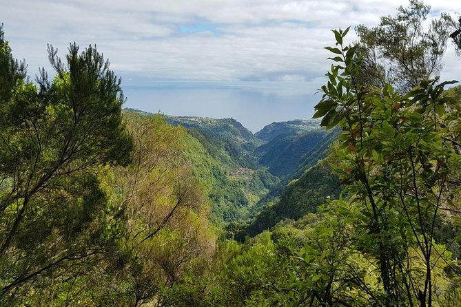 Private Tour The Biosphere Santana - Reviews and Ratings Overview