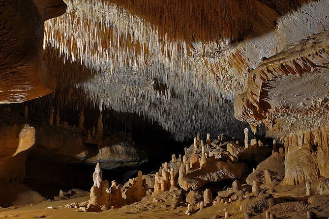 Private Tour to Cougnac Cave With Transportation by EXPLOREO - Last Words