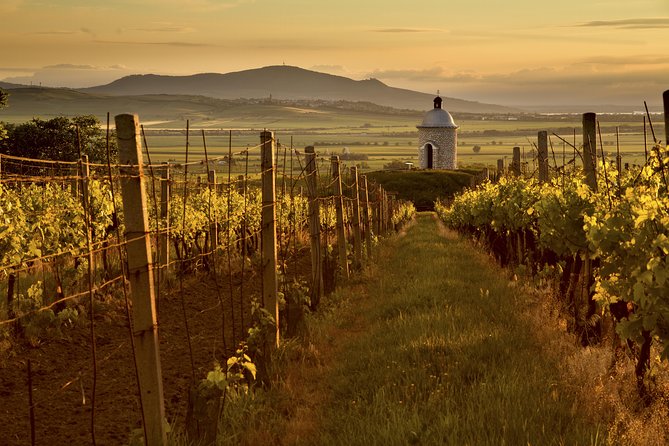 Private Tour to Czech Wine Regions - Lednice and Valtice - Pricing Details and Variations