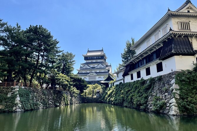 Private Tour to Kokura Castle, Uomachi Street, and Yasaka Shrine - Personalized Experience Details