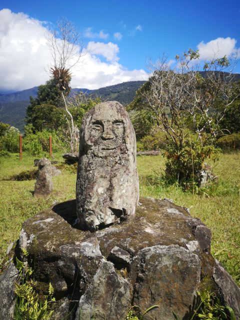 Private Tour to La Gaitana Archaeological Park in Quinchana - Booking and Additional Details