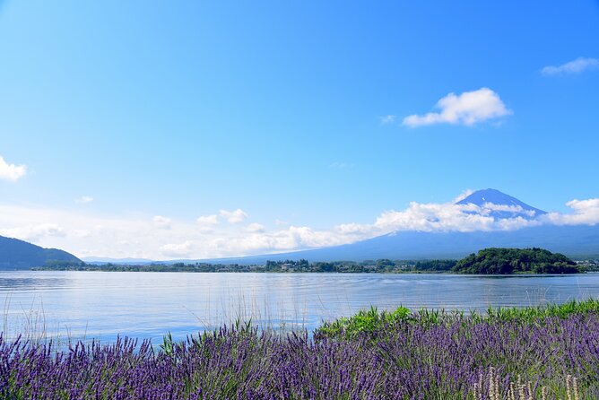 Private Tour to Mt Fuji, Lake Kawaguchi With Limousine and Driver - Expert Local Driver at Your Service
