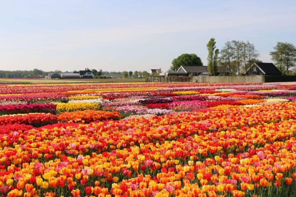 Private Tour to Tulip Experience, Keukenhof & Giethoorn - Giethoorn Exploration