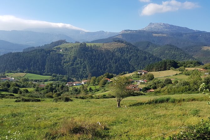 Private Tour Visiting Villages, Forests and Valleys in Biscay - Booking Information