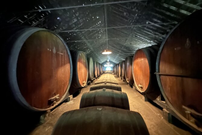 Private Tour Wine Tasting in Setubal - Customer Reviews