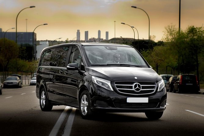 Private Transfer From Disneyland Paris to Paris City by Luxury Van - Booking and Confirmation Process