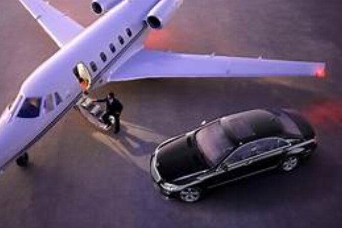 Private Transfer From Fiumicino Airport (Fco) to Rome - Customer Reviews
