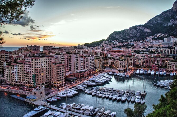 Private Transfer From Nice To Cannes With a 2 Hour Stop - Vehicle Comfort and Amenities