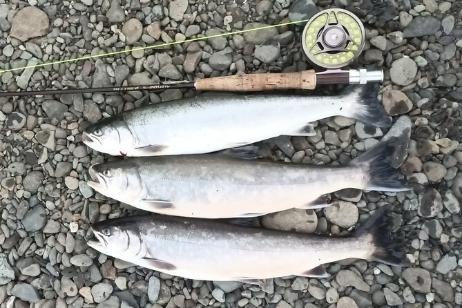 Private Trout and Char Fishing in Icelandic Serenity Experience - Refund and Change Policy