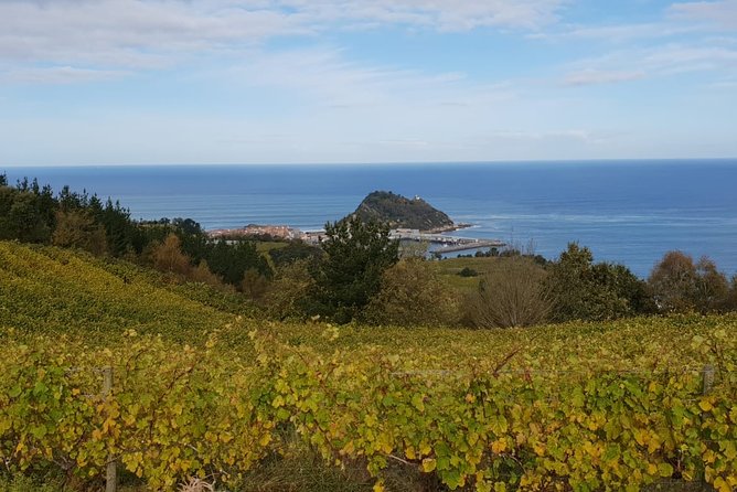 Private Txakoli Winery Tour With Tastings in Getaria - Cancellation Policy