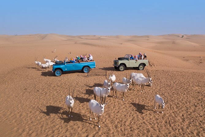 Private Vintage Land Rover Heritage Desert Safari- 4 Course Dinner & Activities - Common questions