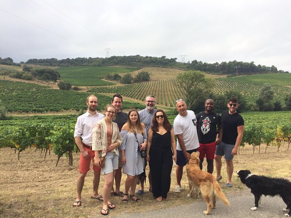 Private Wine Day Tour From Carcassonne and Around. - Additional Information