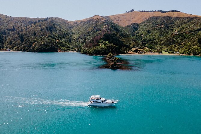 Private Yacht Cruise in the Marlborough Sounds New Zealand - Cancellation Policy and Requirements