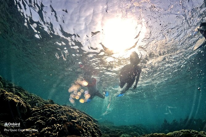 PROFESSIONAL SNORKELING to Explore Hidden Coral Spots (MAX 9 PAX) - Additional Information for Travelers