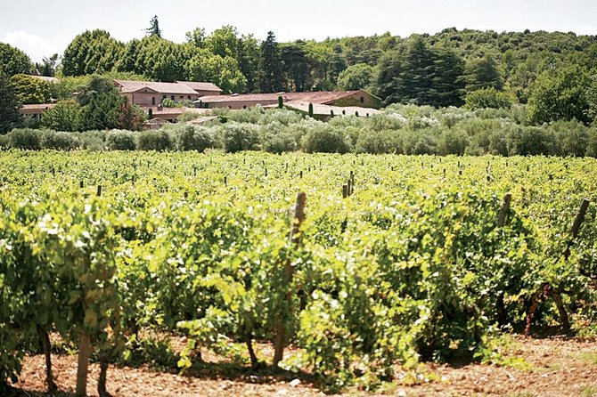 Provence Wine Tasting - Booking and Cancellation Policy