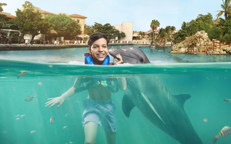 Puerto Aventuras: Dolphin Encounter With Buffet Lunch - Location Details