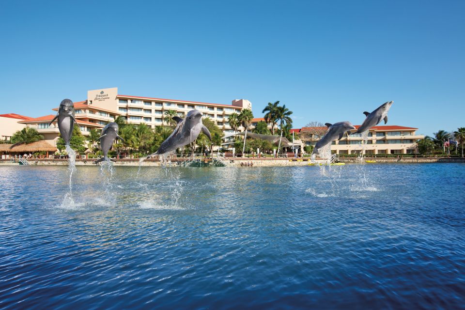 Puerto Aventuras: Dolphin Royal Swim & Kayaking With Buffet - Important Information