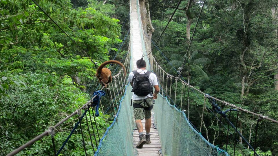 Puerto Maldonado: 2-Day Peruvian Tambopata Jungle Trip - Small Group Experience Details