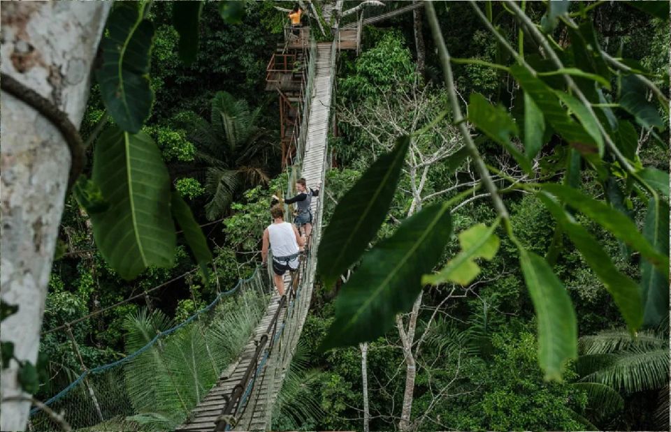 Puerto Maldonado: 3-Day Tambopata National Reserve Trek Trip - Included Services